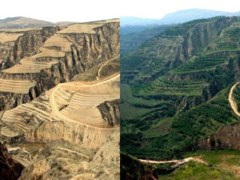 How restoring land accelerates carbon drawdown and recovers livelihoods